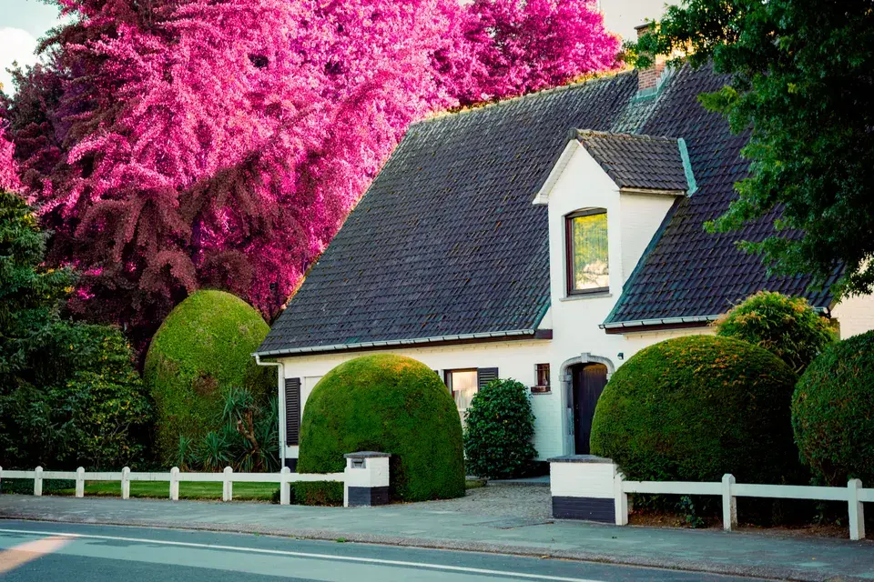 roofing contractor Beechwood Village
